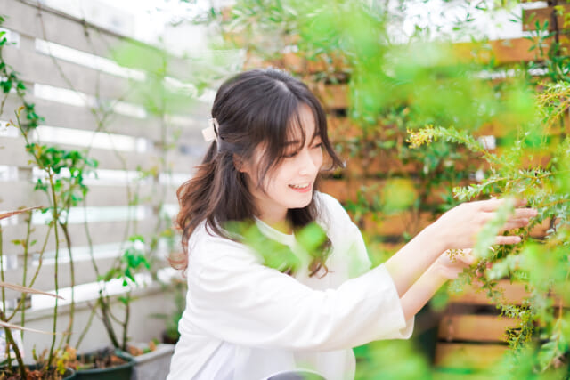 初夏!ベランダでおしゃれにガーデニングを楽しもう